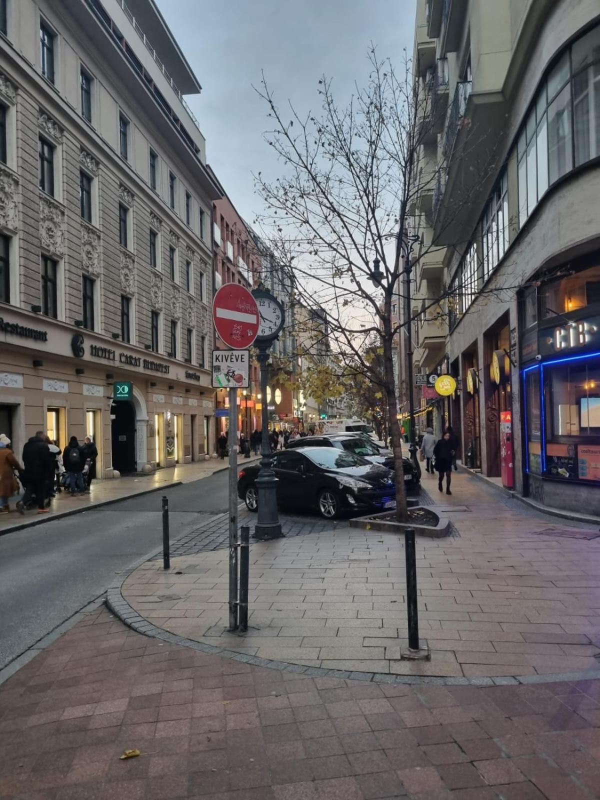 Danube Dwelling Asboth 19-1 Daire Budapeşte Dış mekan fotoğraf