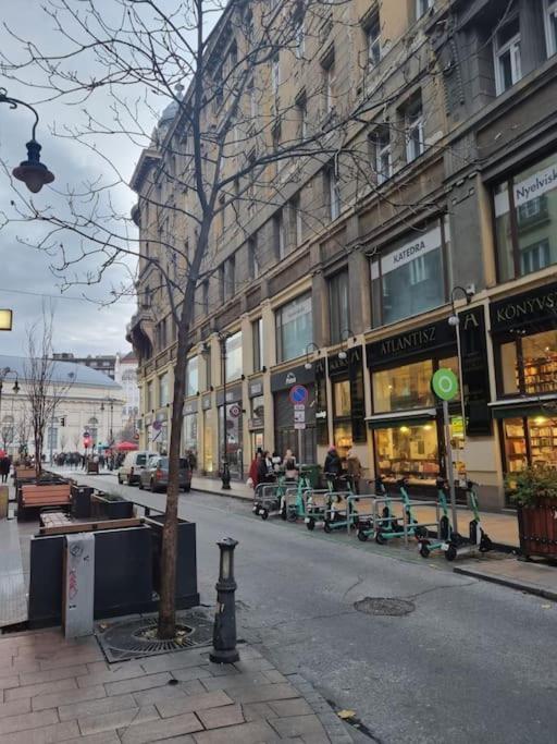 Danube Dwelling Asboth 19-1 Daire Budapeşte Dış mekan fotoğraf